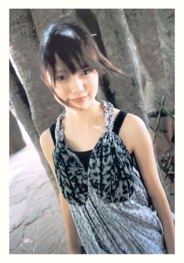Aoi Miyazaki / Aoi Miyazaki 《20. JAHRESTAG „Licht“》 [PB]