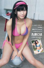 指原莉乃 根岸愛 竹富聖花 [Weekly Young Jump] 2013年No.39 写真杂志