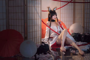 [Foto cosplay] Blogger di anime Teppanyaki Ghost Dance w - Akagi